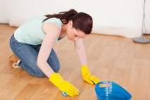 Upholstery Cleaning Tips Everyone Should Know